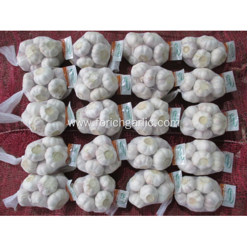 Normal White Garlic Best Quality 2020